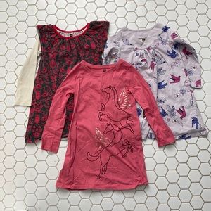 Three long sleeve Tea tunic tops